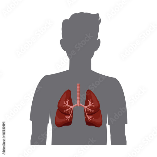 Human silhouette with inflamed respiratory system vector illustration