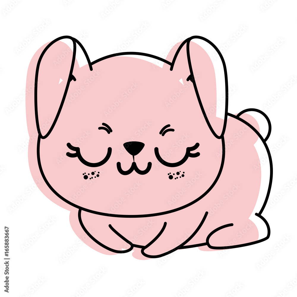 isolated cute sitting rabbit isolated cute sitting rabbit