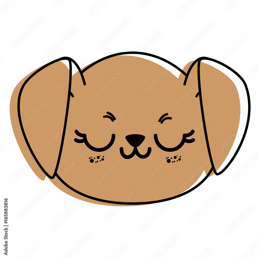 isolated cute dog face isolated cute dog face