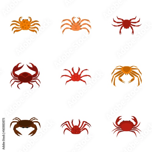 Different crab icons set, cartoon style