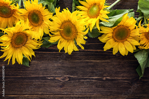 Fototapeta Naklejka Na Ścianę i Meble -  Yellow sunflowers on a dark wooden background. Copy space.