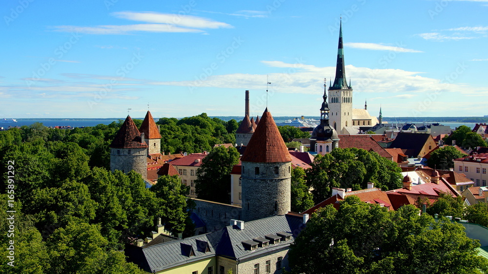 Fototapeta premium malerische Wehr- und Kirchtürme in Tallinn vom Domberg aus gesehen