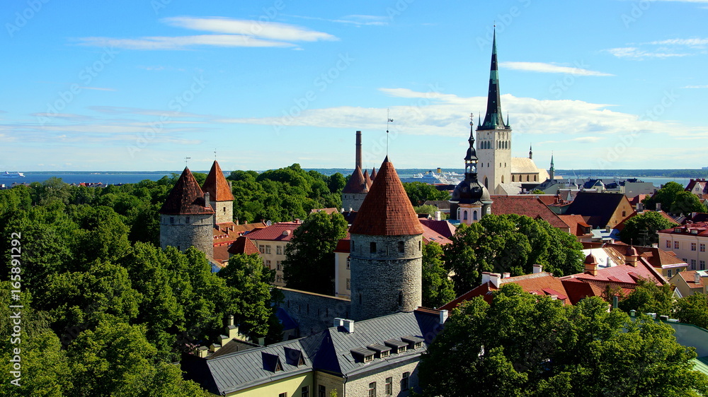 malerische Wehr- und Kirchtürme in Tallinn vom Domberg aus gesehen