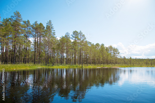 Viru Raba swamp lake in Estonia.
