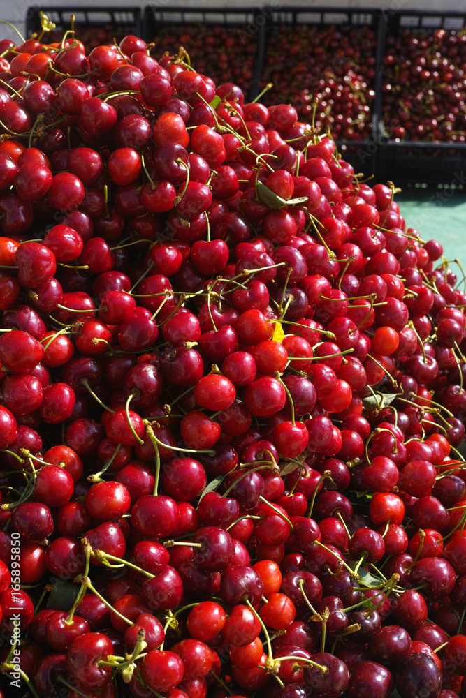 New harvest of fresh ripe red sweet cherry, street market in Italy New harvest of fresh ripe red sweet cherry, street market in Italy