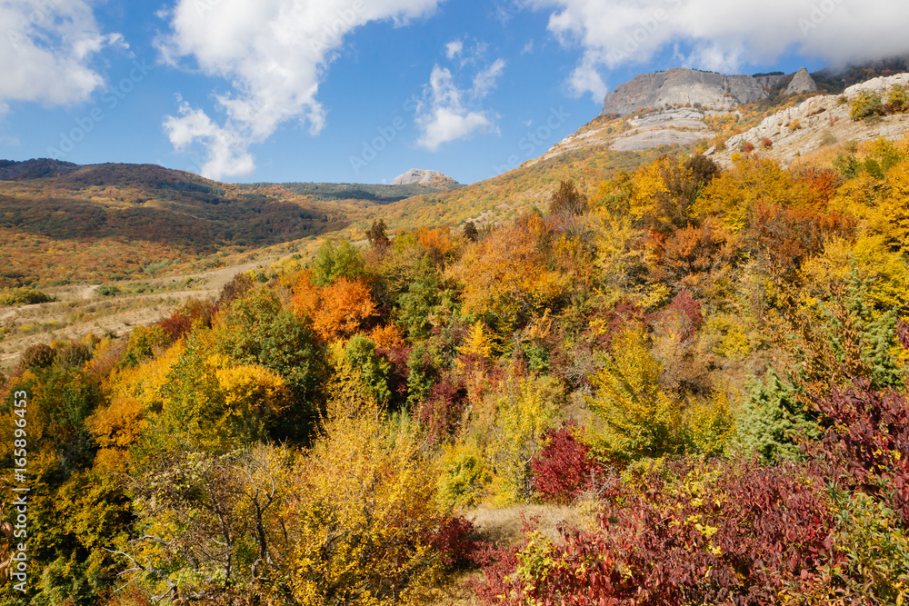 Autumn in mountains