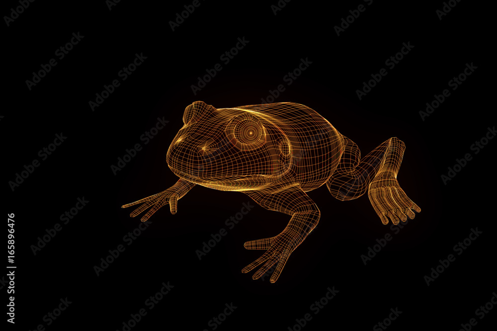 Obraz premium Frog in Hologram Wireframe Style. Nice 3D Rendering 