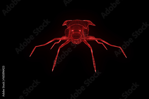 Fly in Hologram Wireframe Style. Nice 3D Rendering   © bombastic80