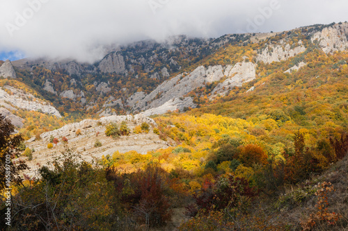Autumn in mountains © Duke