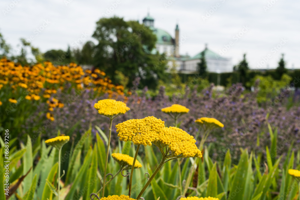 Obraz premium Flowers at Fredensborg castle