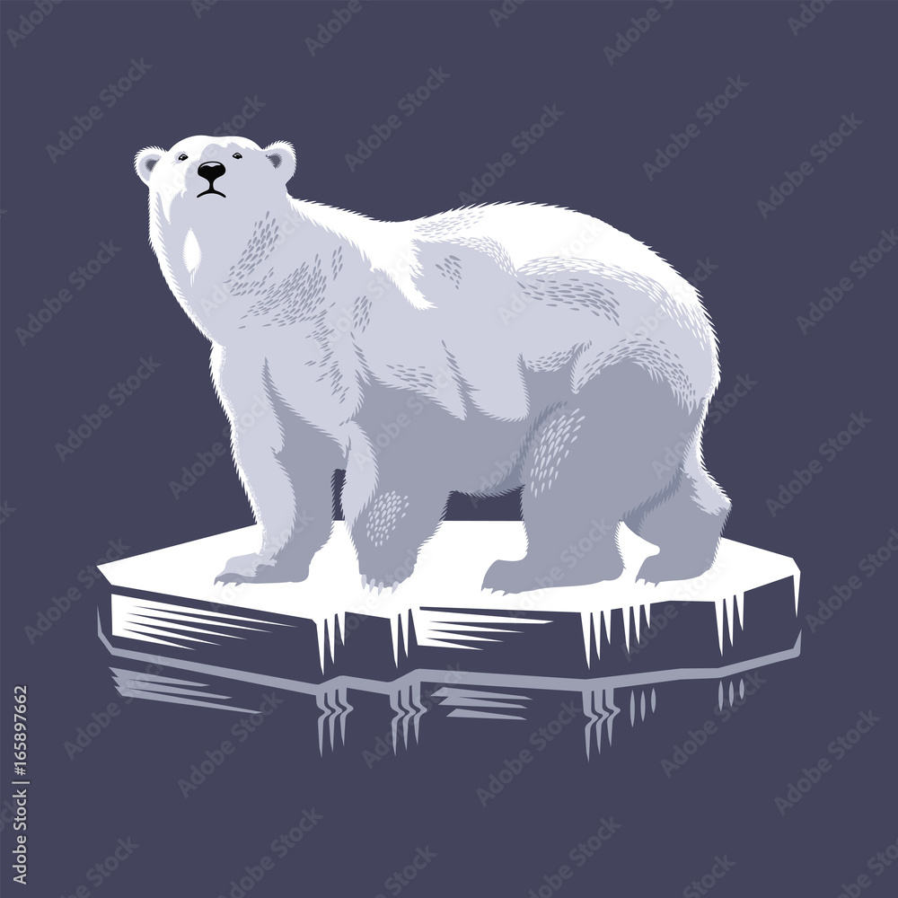 Белый медведь на льдине, иллюстрация, вектор Stock-Vektorgrafik | Adobe ...