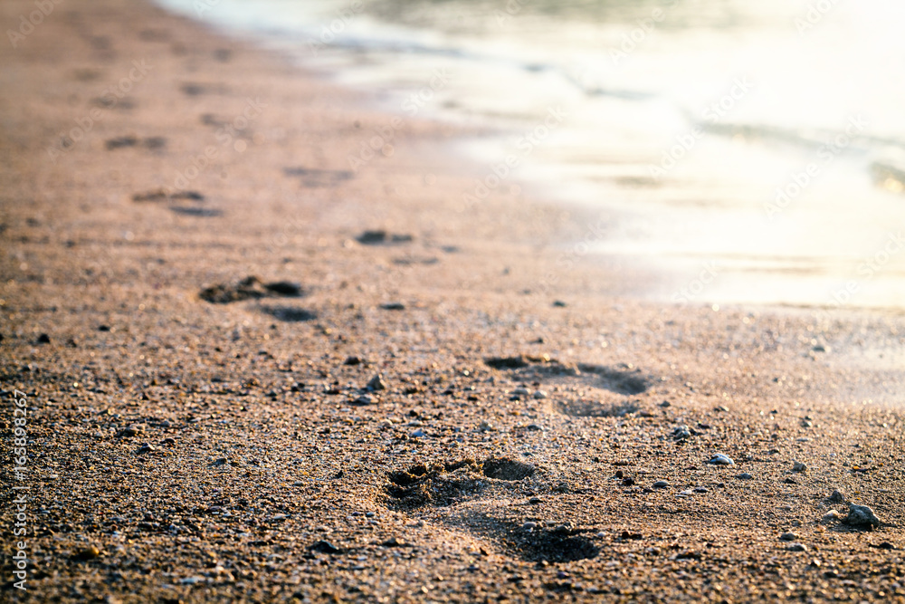 Traces on the beach Traces on the beach