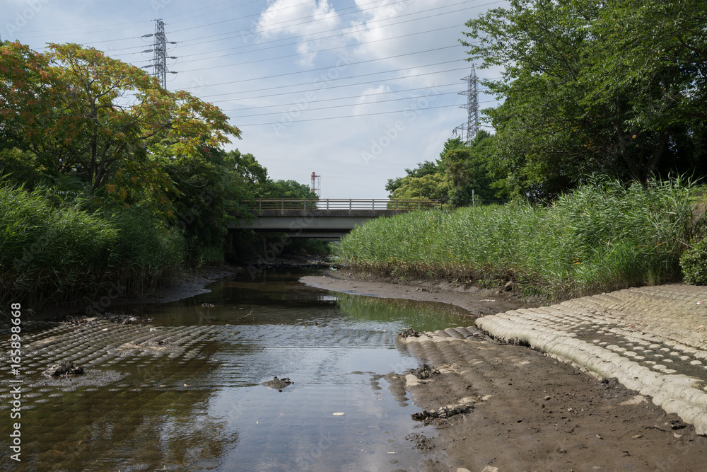 東京湾に注ぐ川の河口 東京湾に注ぐ川の河口
