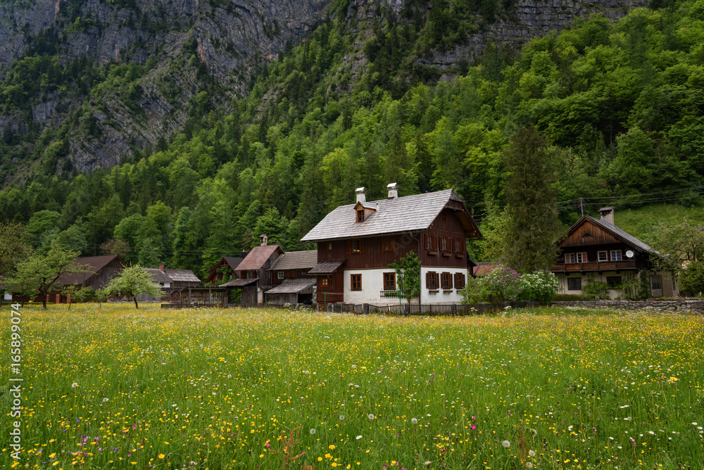 Typical Austrian Alpine houses with bright flowers, Hallstatt, Austria, Europe