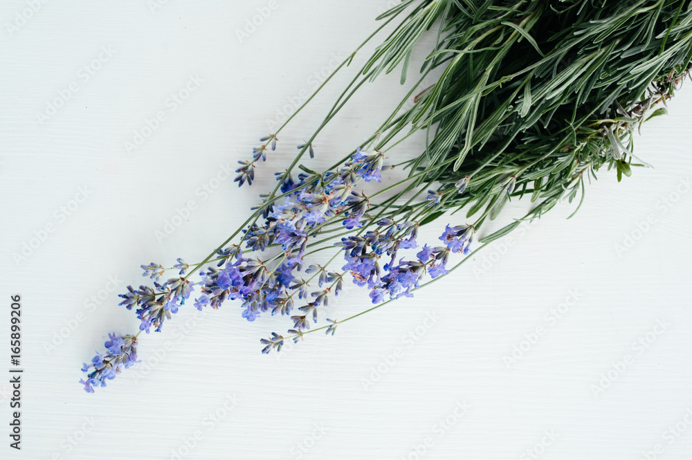  branch of lavender lies on a white background
