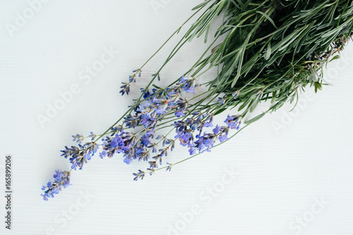 Fototapeta Naklejka Na Ścianę i Meble -   branch of lavender lies on a white background