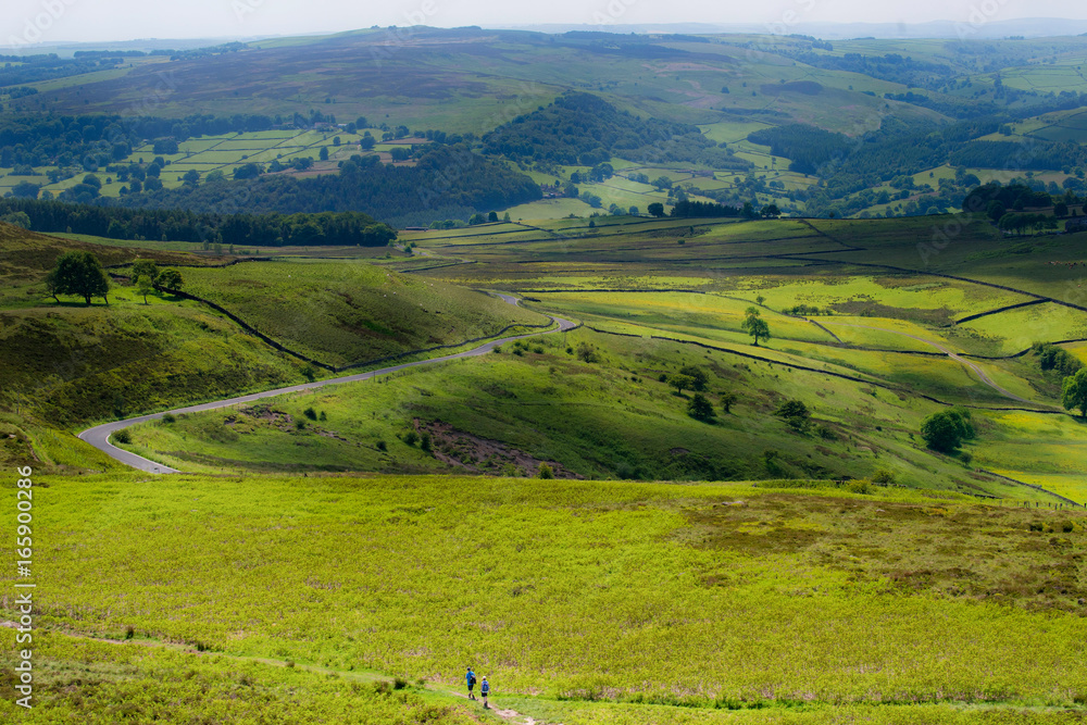 Fototapeta premium British landscape