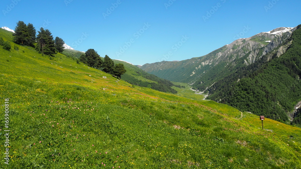 Georgian landscape