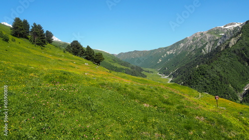 Georgian landscape