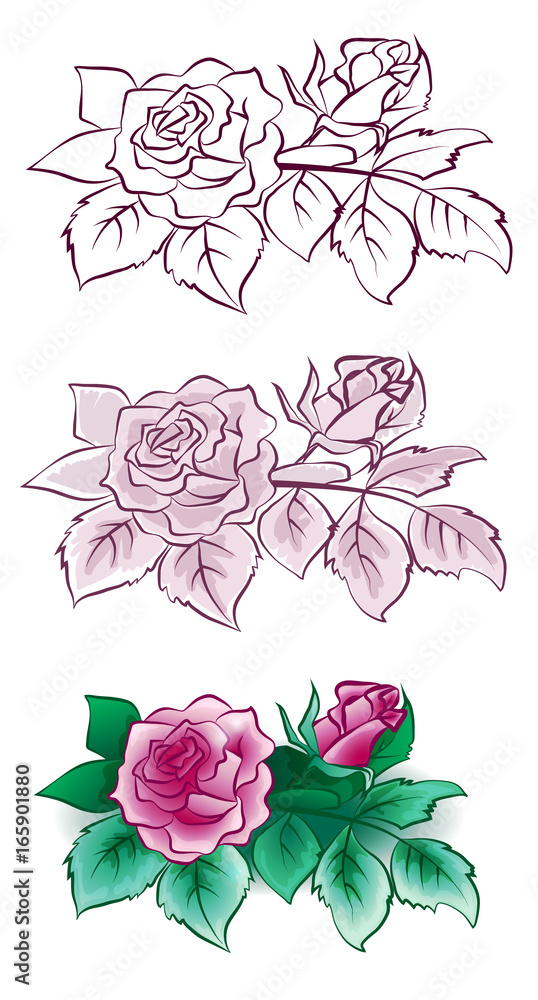 A set of three vector images of pink flowers, isolated on white background.