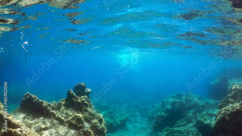natural underwater background 