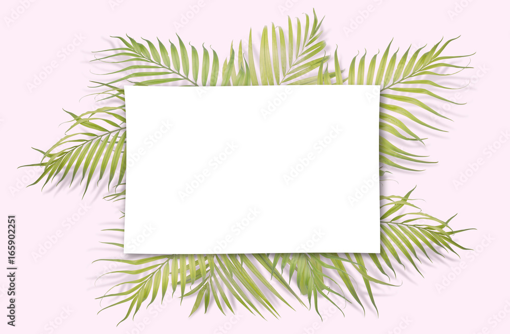 Tropical palm leaves on pink background. Minimal nature. Summer Styled.  Flat lay.  Image is approximately 5500 x 3600 pixels in size