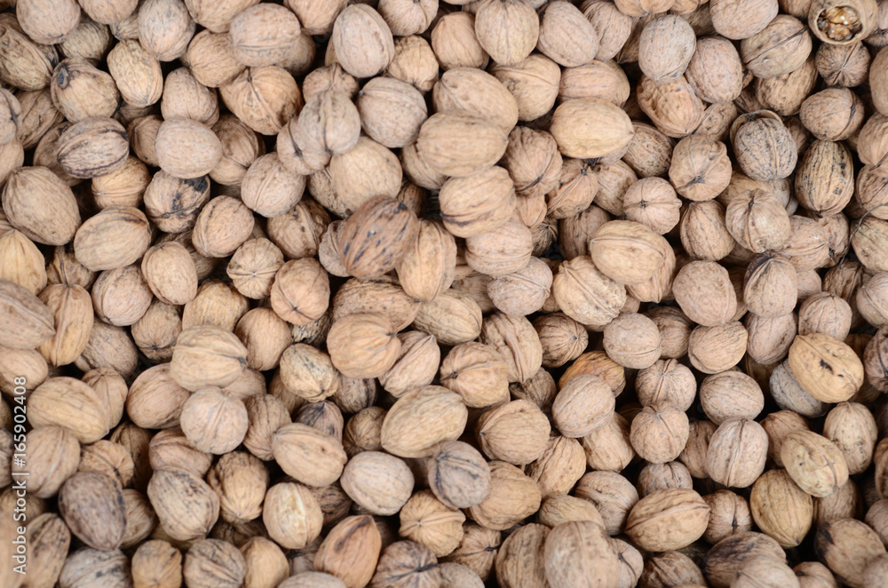 Background of lots of walnuts Background of lots of walnuts