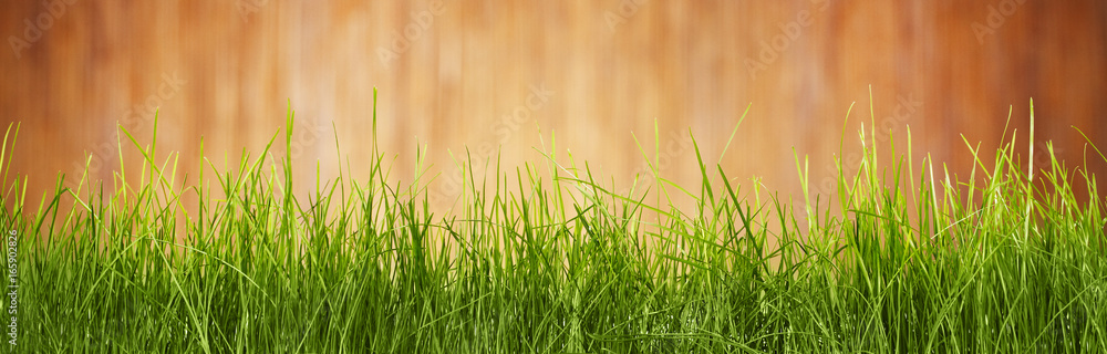 wooden wall and green grass background wooden wall and green grass background