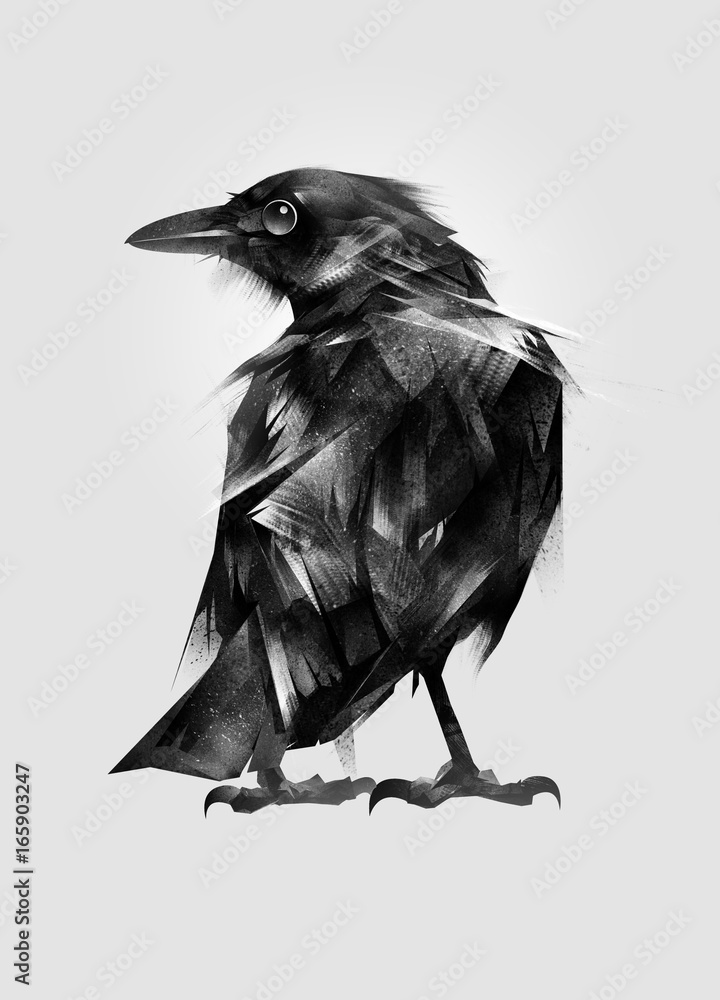 drawn isolated setting bird Blackbird - obrazy, fototapety, plakaty 