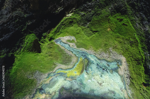 Moss in Cave