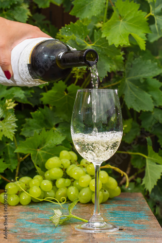 Waiter pouring a glass of ice cold white wine, outdoor terrace, wine tasting in sunny day, green vineyard garden background.