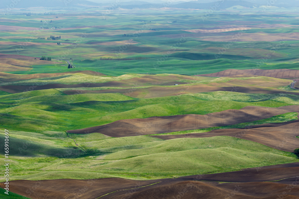 Landwirtschaft und Windräder beim Steptoe Butte, Palouse hills, Whitman County, Washington