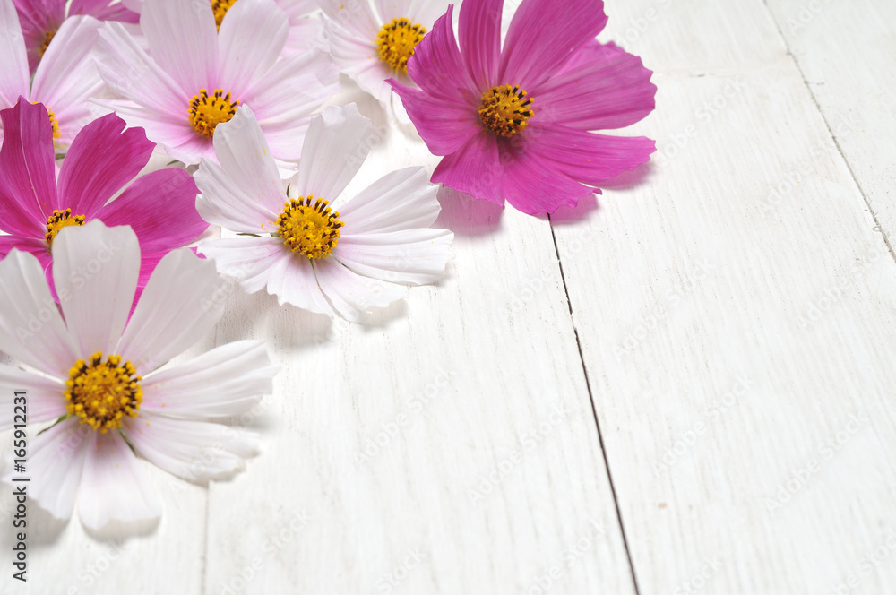 Obraz premium Chamomile on a wooden table