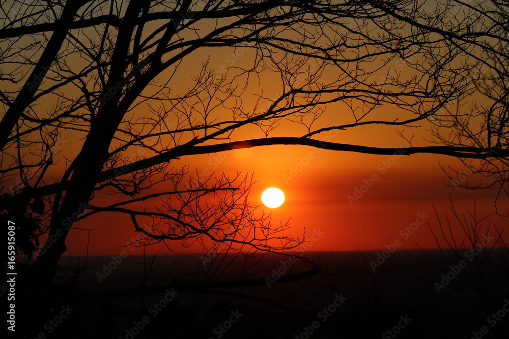 Tramonto rosso sole sera alberi natura Tramonto rosso sole sera alberi natura