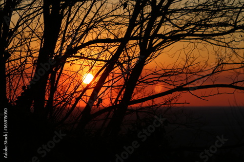 Tramonto rosso sole sera alberi natura © Lucia