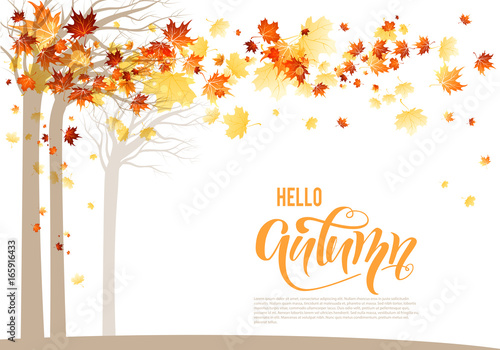 Orange autumn trees banner