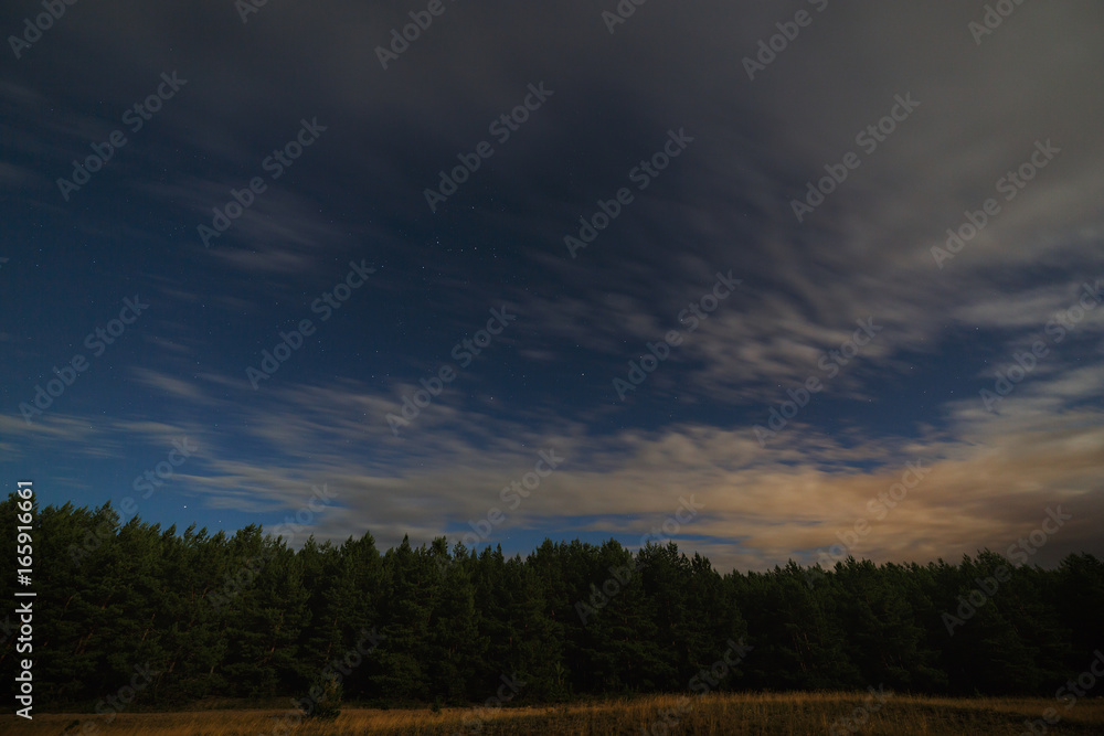 Night landscape with a full moon. Starry sky with clouds. Night landscape with a full moon. Starry sky with clouds.