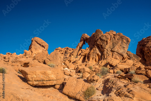 Elephant Rock im Valley of Fire State Park, Nevada