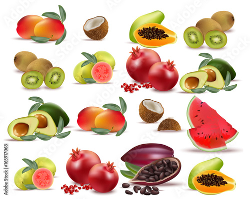 Fruits coconut, avocado, papaya, kiwi, pomegranate, fresh cocoa, guava Collection set Vector