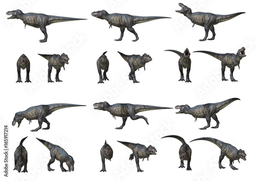 Fototapeta Naklejka Na Ścianę i Meble -  T-Rex verschiedene Ansichten, 3D-Rendering