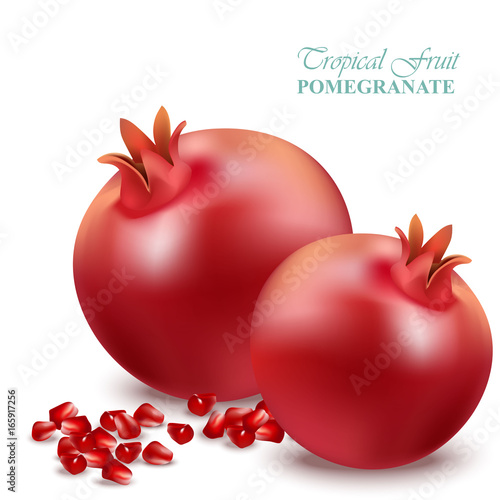 Pomegranate realistic isolated on white Vector