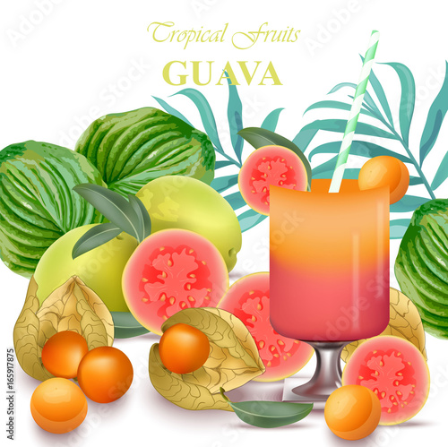 Smoothie Guava and gooseberry fruits realistic Vector fresh juicy exotic