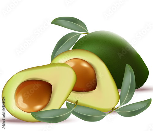 Avocado realistic Vector on white background illustration