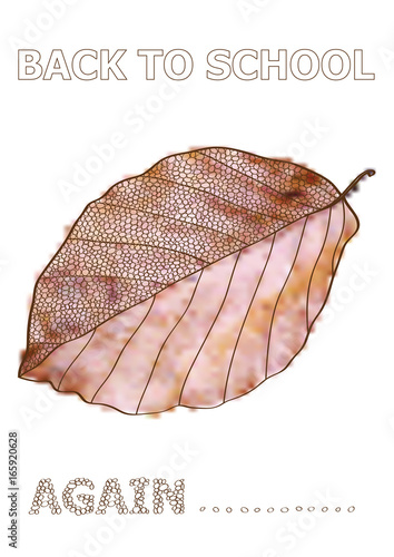 back to school vector concept with beech leaf icon and place for your text