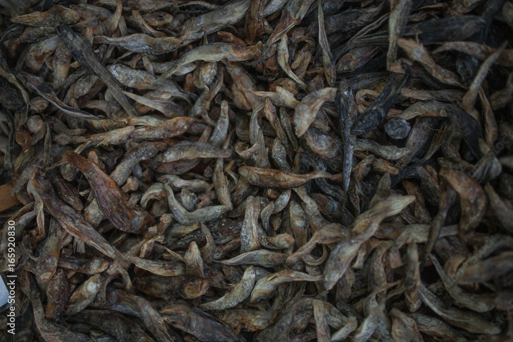 Dried Small fish background