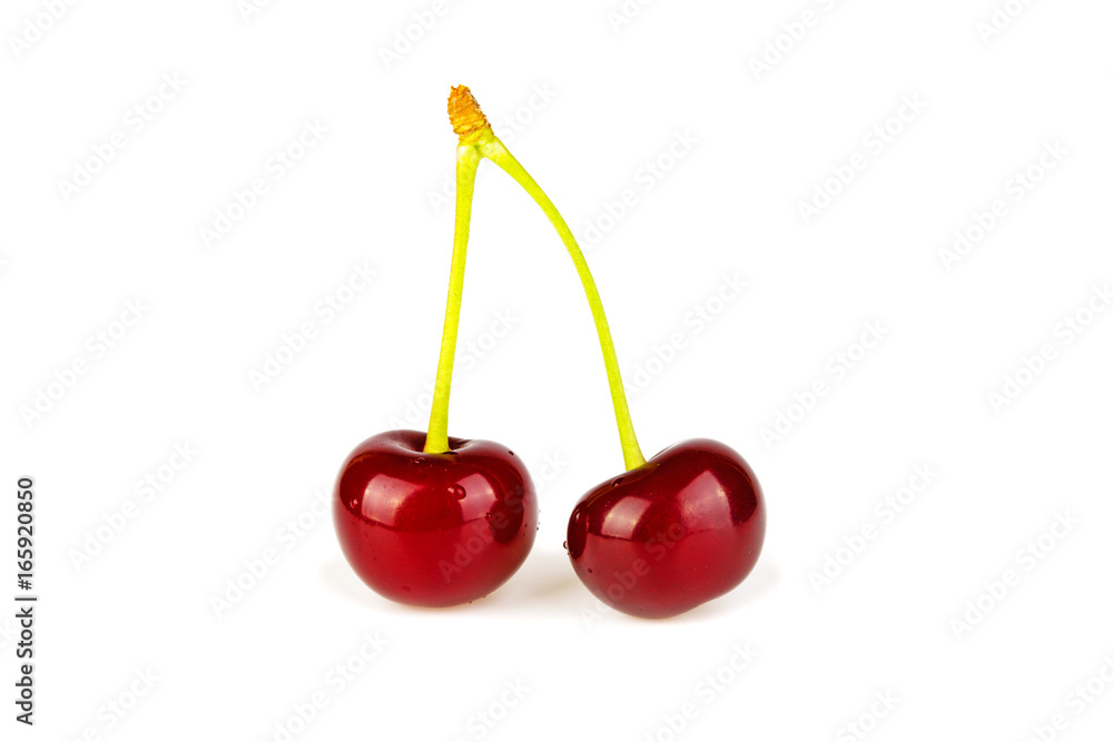 Cherry on white background Cherry on white background