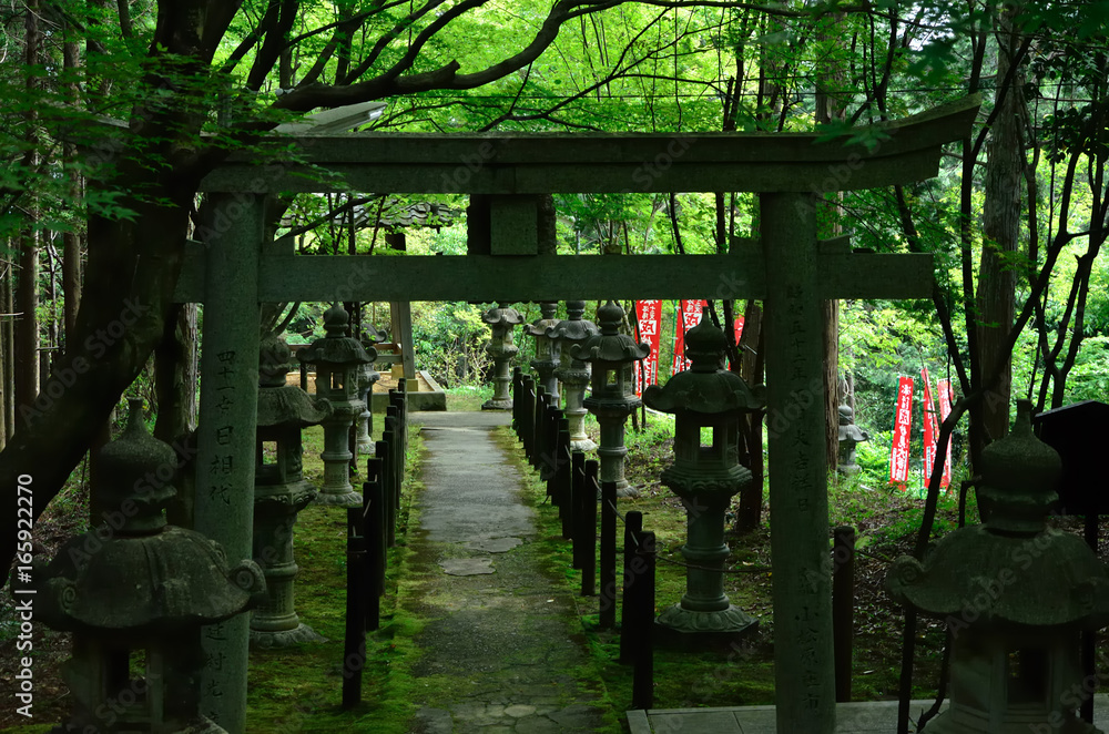 Shrine's Torii gate and stone lanterns, Japan Shrine's Torii gate and stone lanterns, Japan
