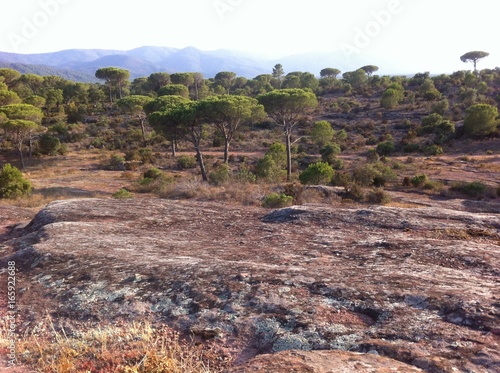 Plateau des Maures Var