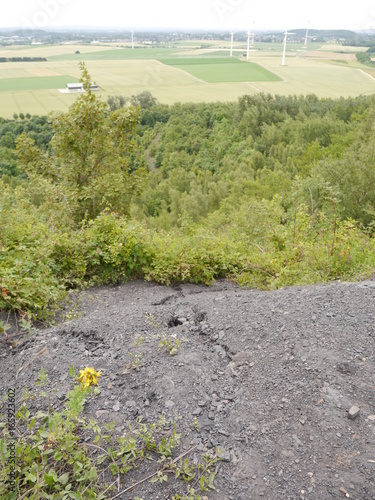 Aachen Baesweiler Carl-Alexander Park Haldenlandschaft Alsdorf 7 photo