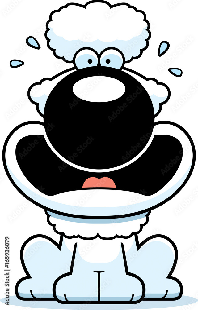 Scared Cartoon Poodle Scared Cartoon Poodle